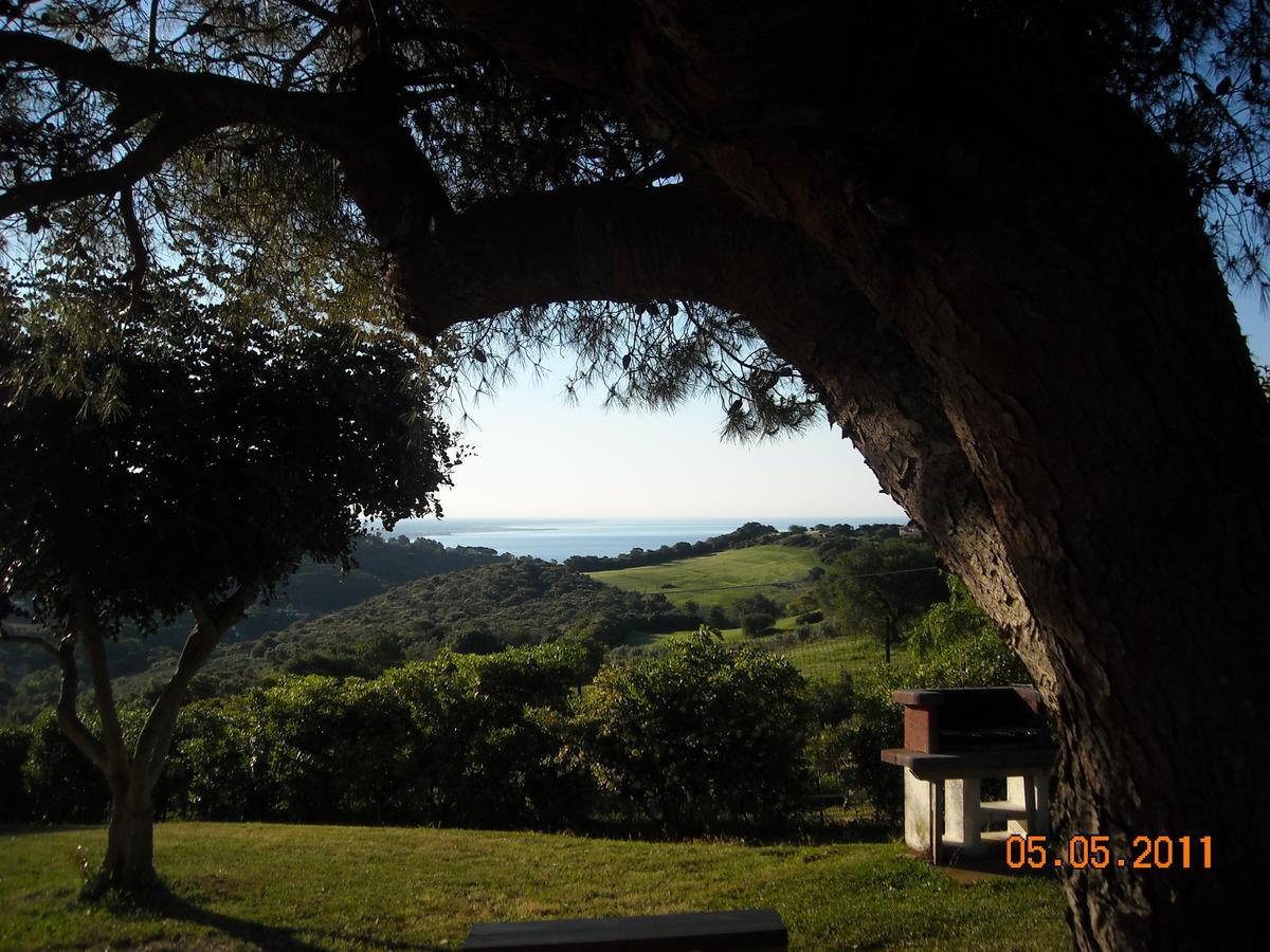 Bed & Breakfast La Volpe E L'Uva Santa Marinella Ngoại thất bức ảnh