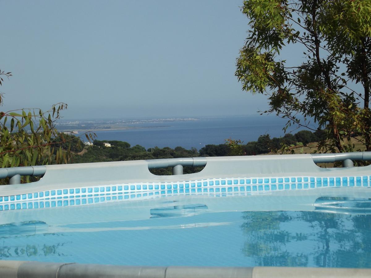 Bed & Breakfast La Volpe E L'Uva Santa Marinella Ngoại thất bức ảnh